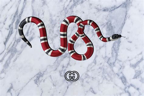 gucci snake mp3|Gucci snake meaning.